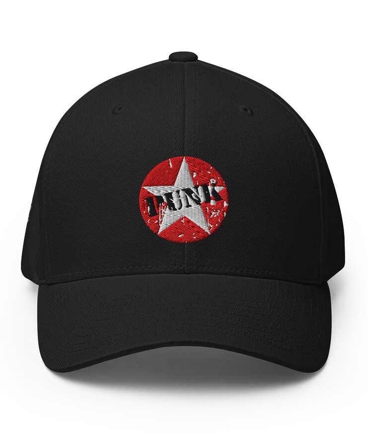 Structured Flexfit Cap - PUNK | Hat | Buy Online | GRAPHIC T-SHIRTS