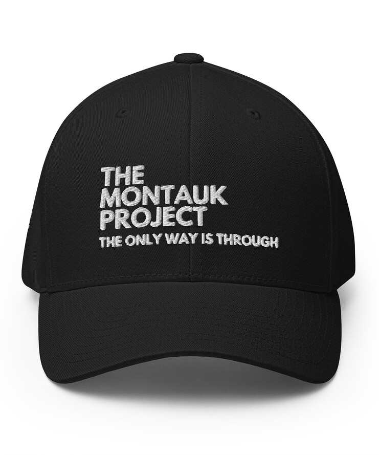 Structured Flexfit Cap - The Montauk Project. The Only Way Is Through | Hat | Buy Online | GRAPHIC T-SHIRTS